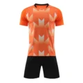 Training Kids Kit black and orange v collar